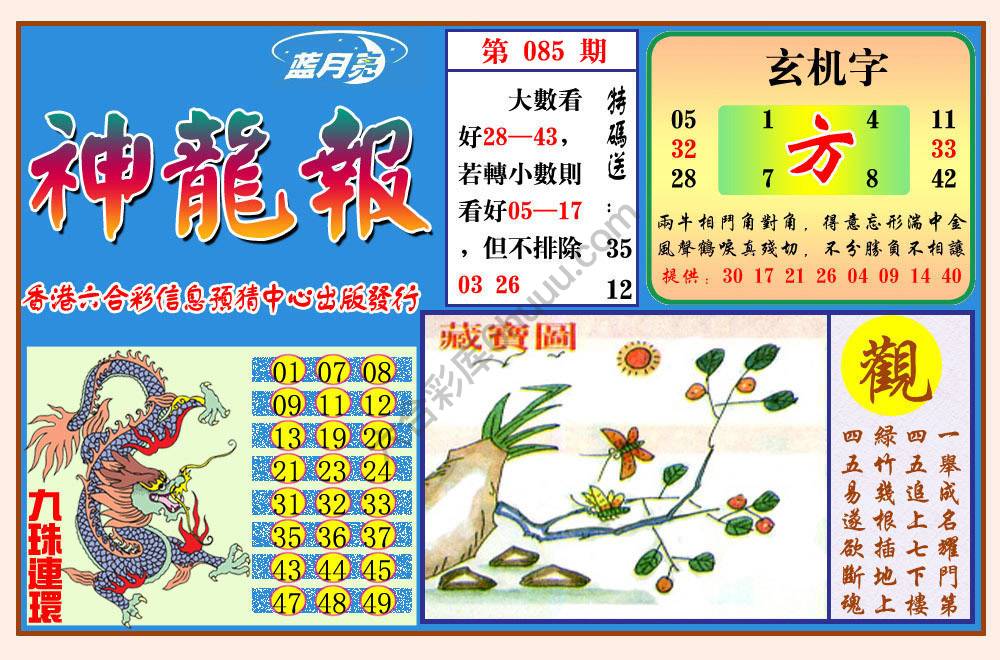 蓝月亮神龙报