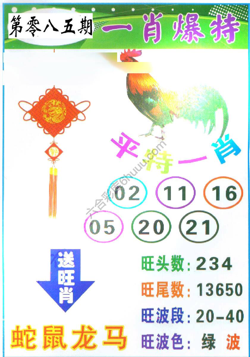 一肖爆特（新版）