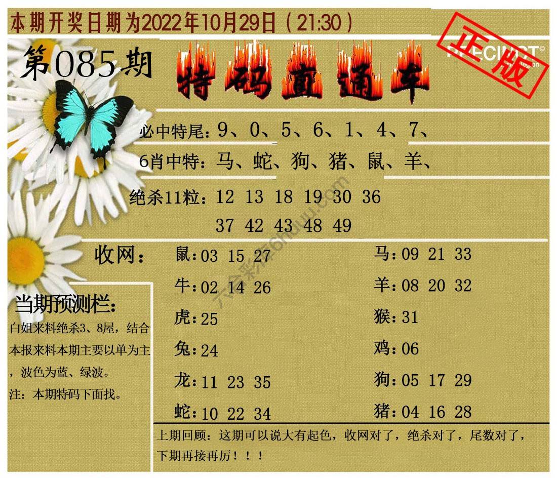 特码直通车
