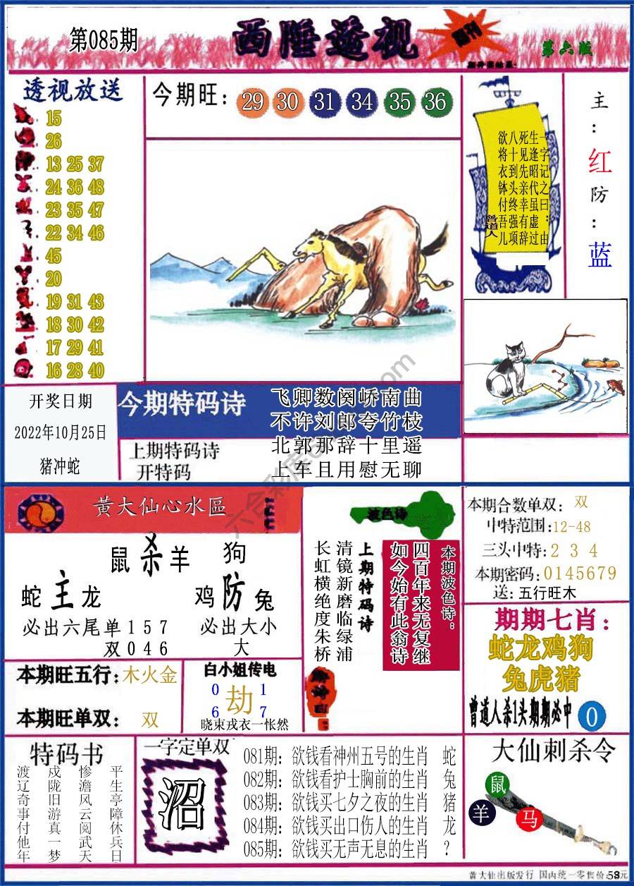 西陲透视（正版）
