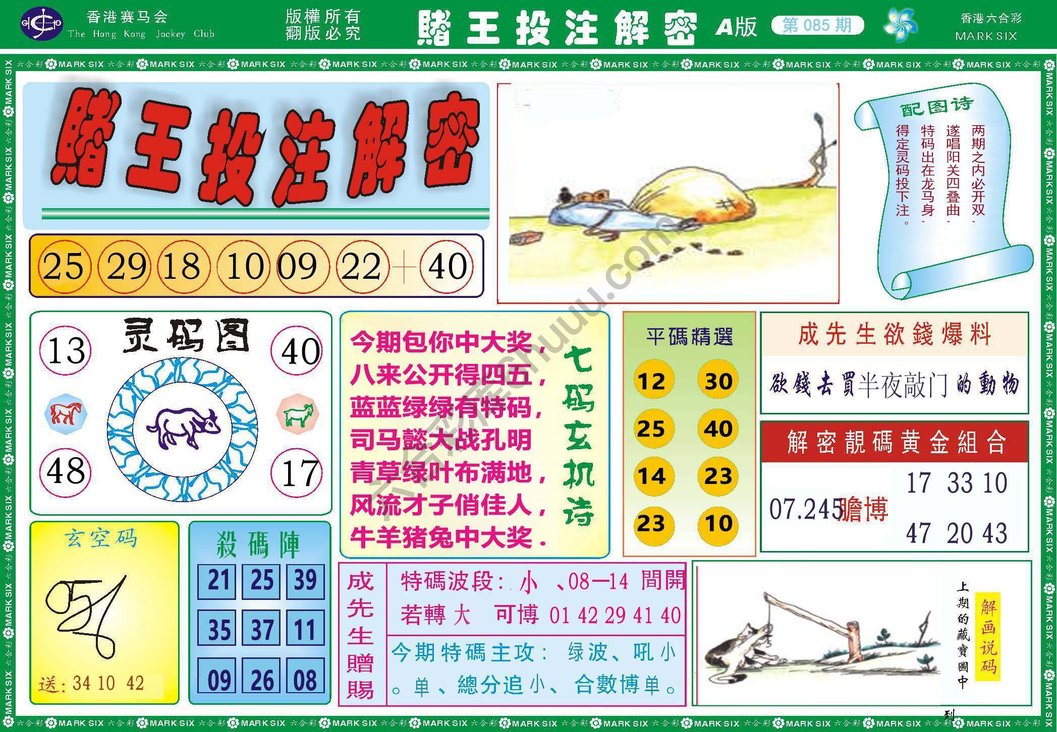 赌王投注解密