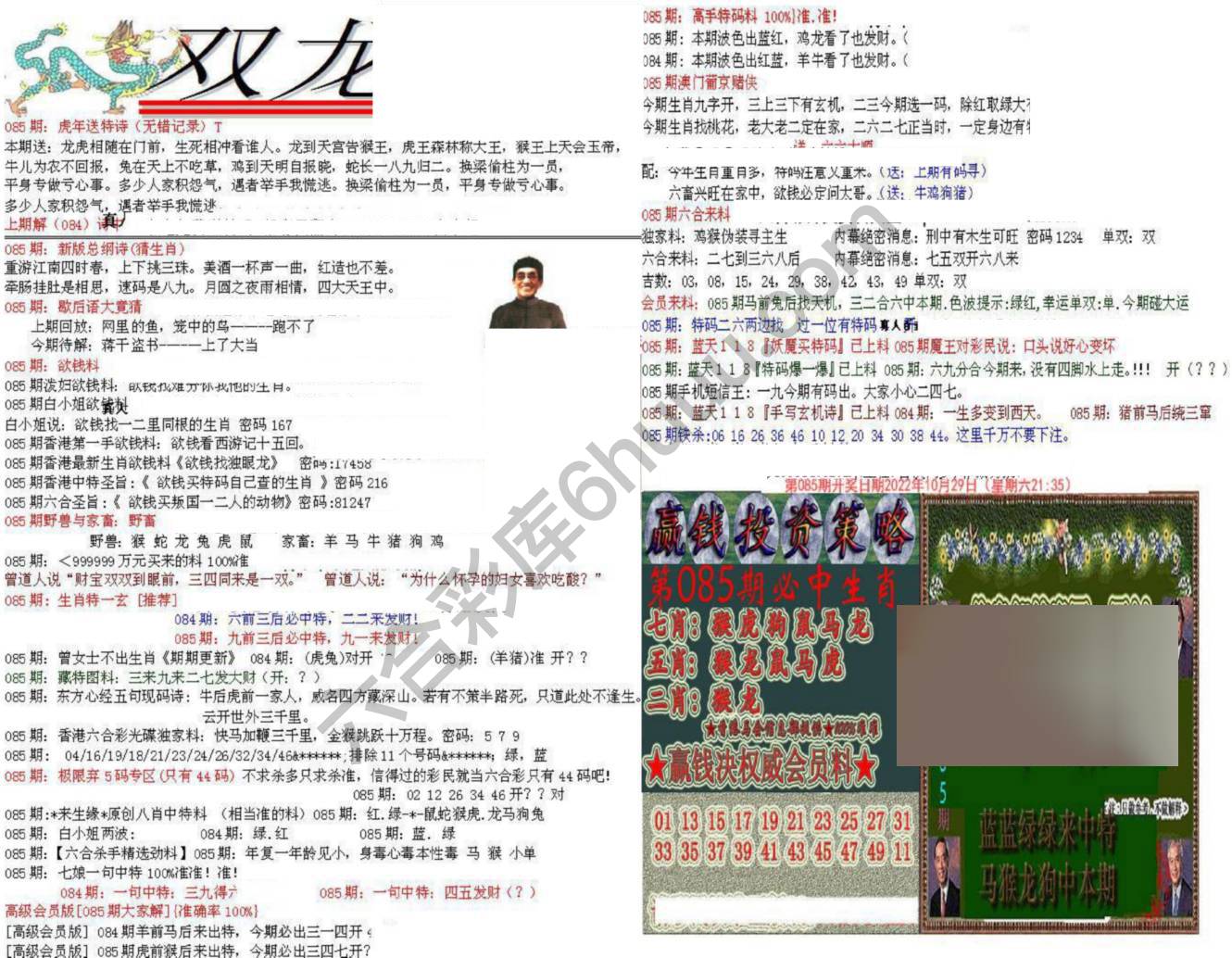 双龙报