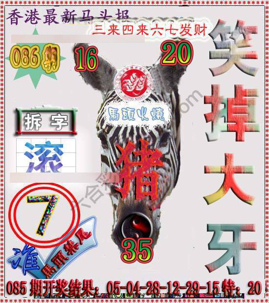 香港马头报