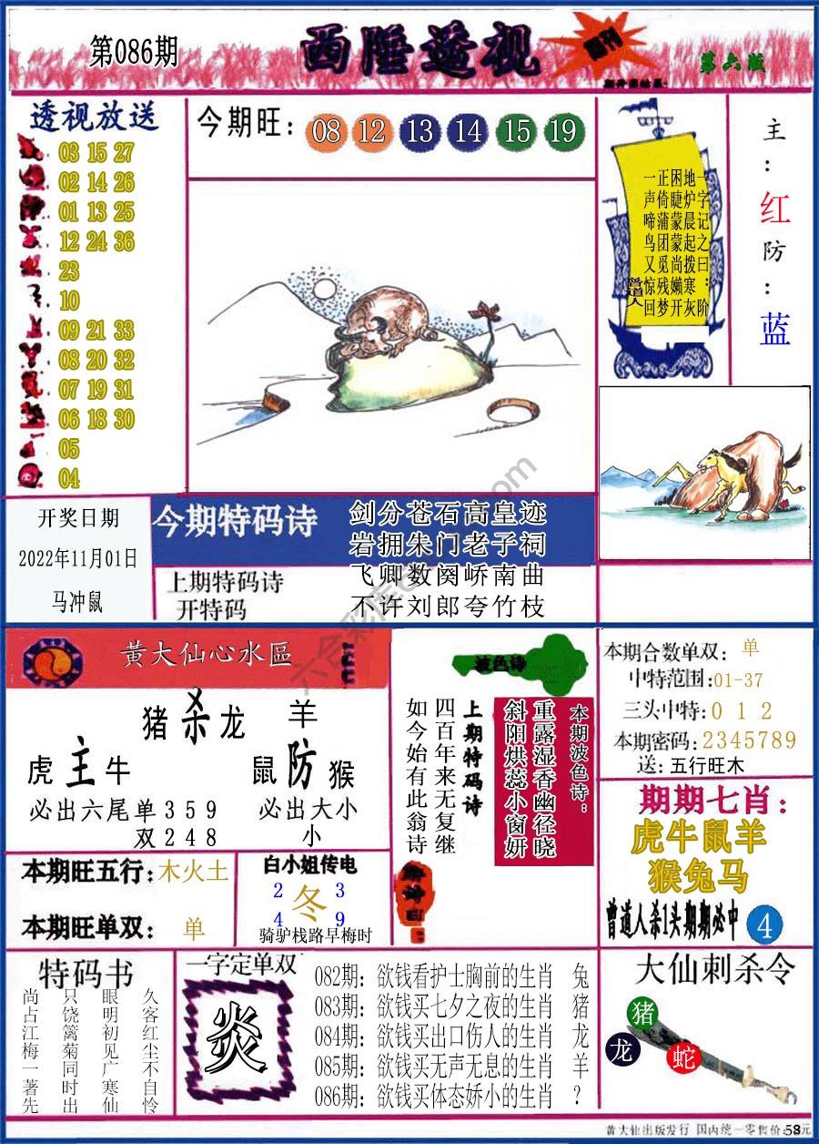 西陲透视（正版）
