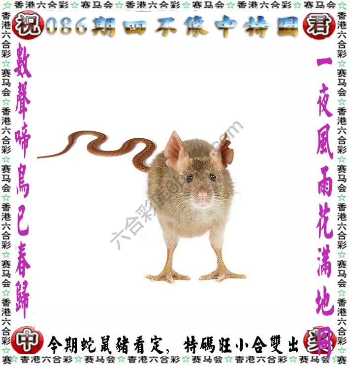 四不像中特图