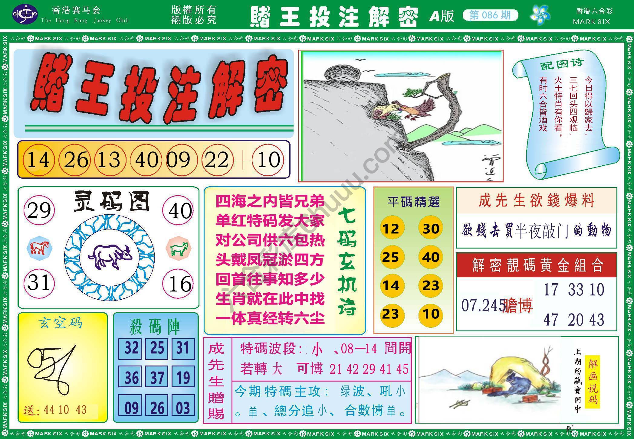 赌王投注解密