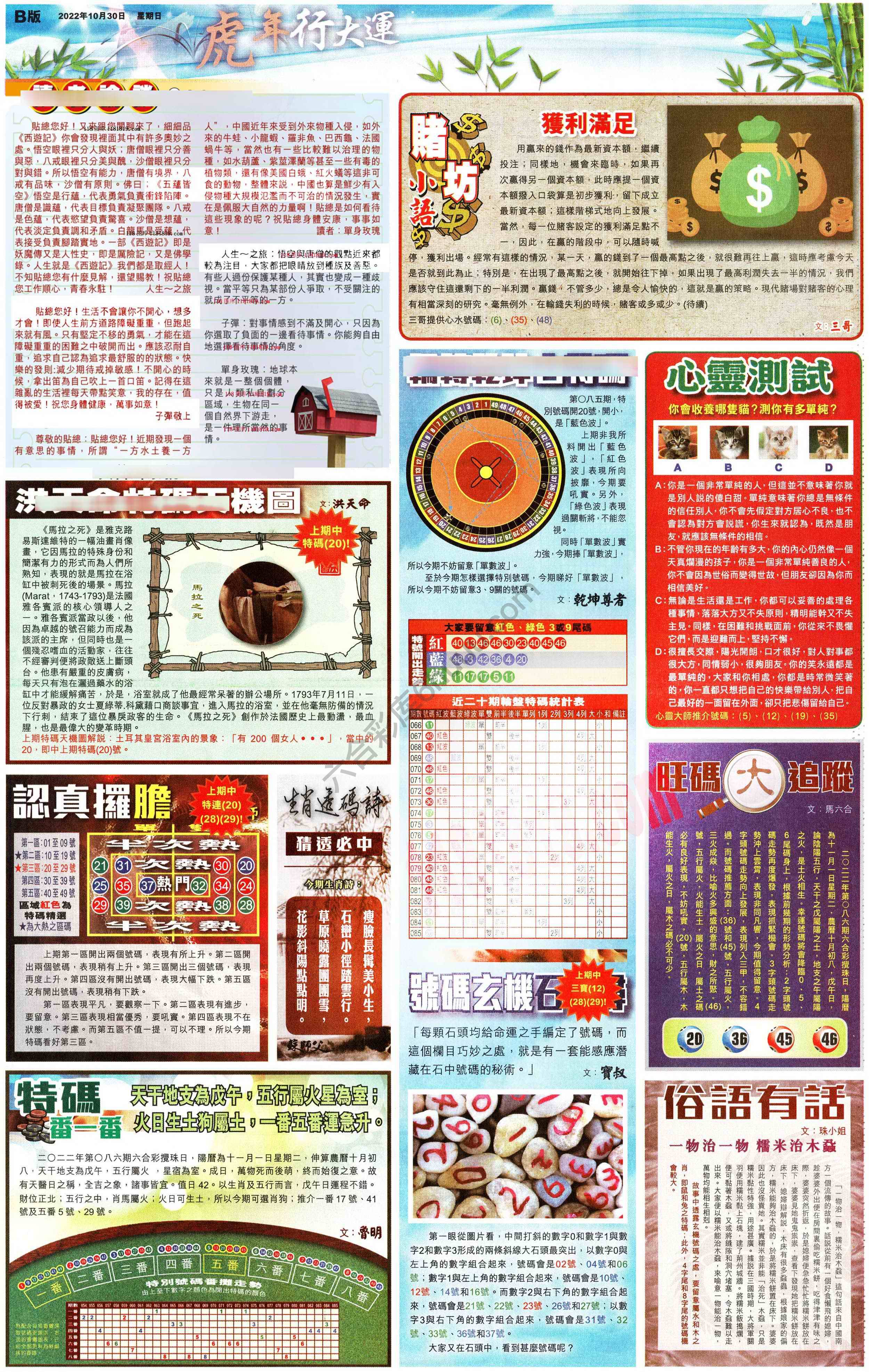 大版贴士皇