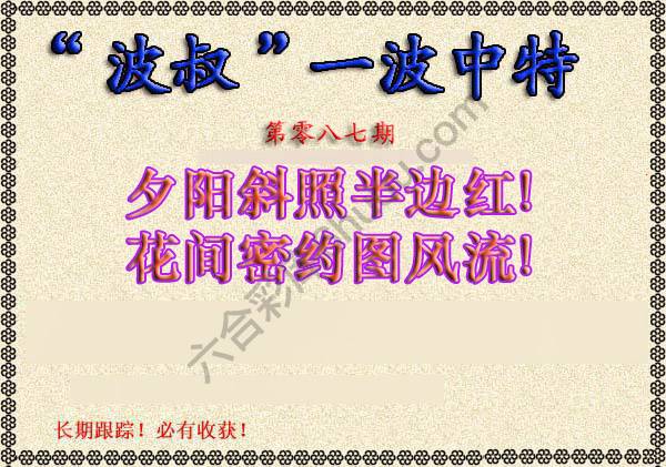 波叔一波中特
