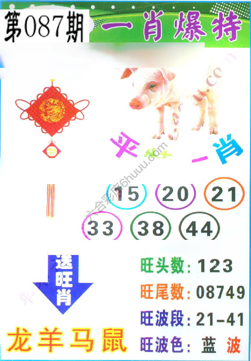一肖爆特（新版）