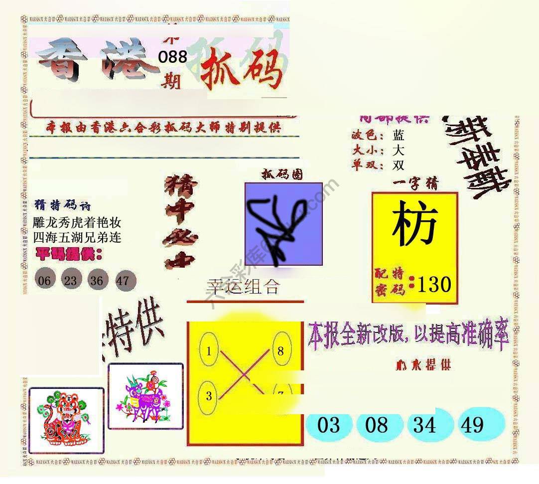 新抓码王