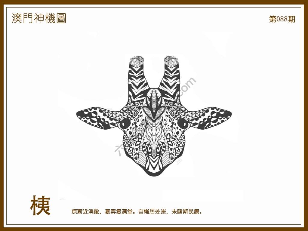 澳门神机图