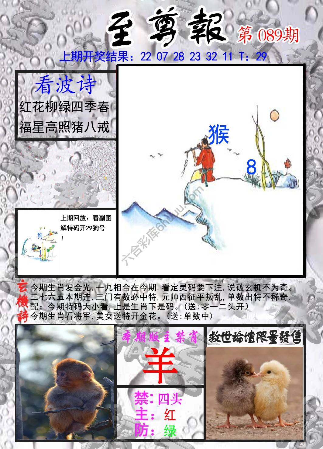 至尊报
