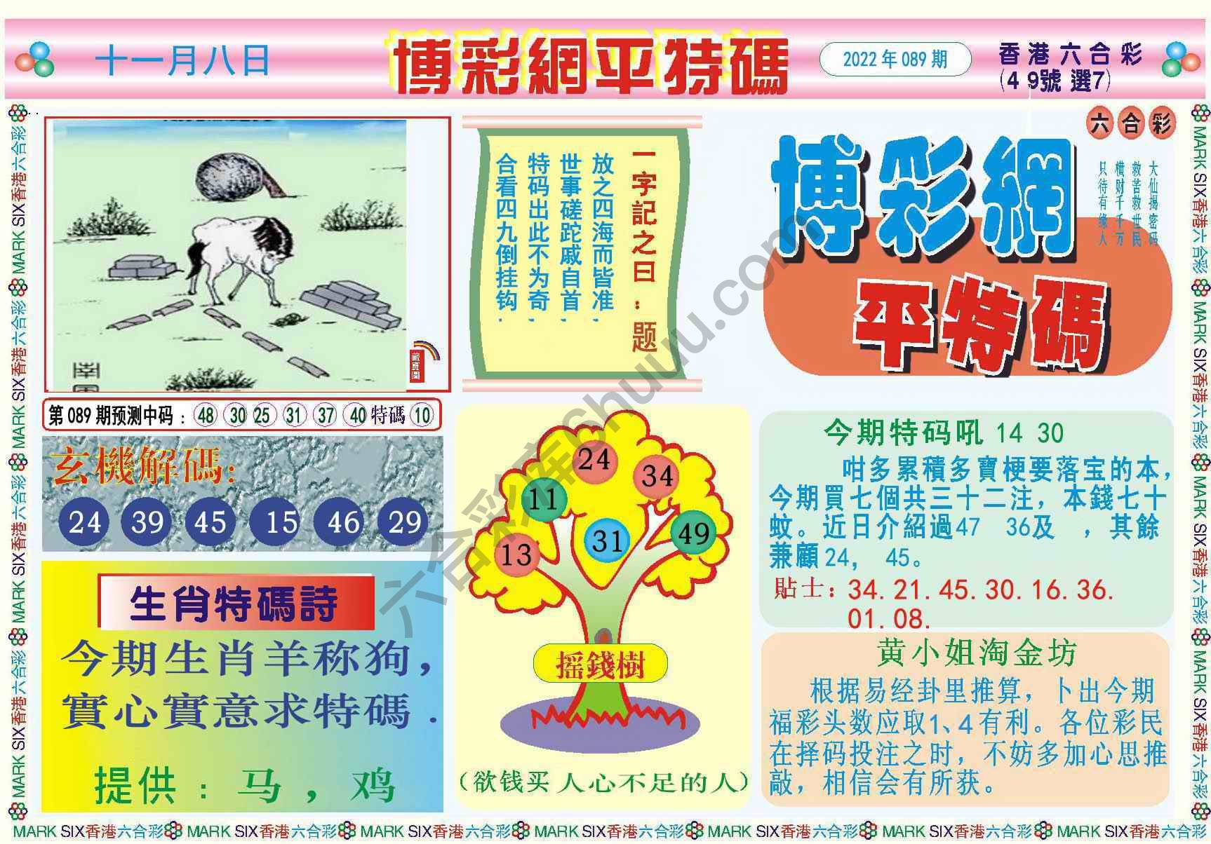 博彩网平特码
