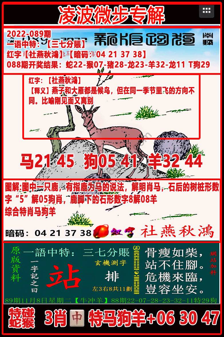 凌波微步解跑狗