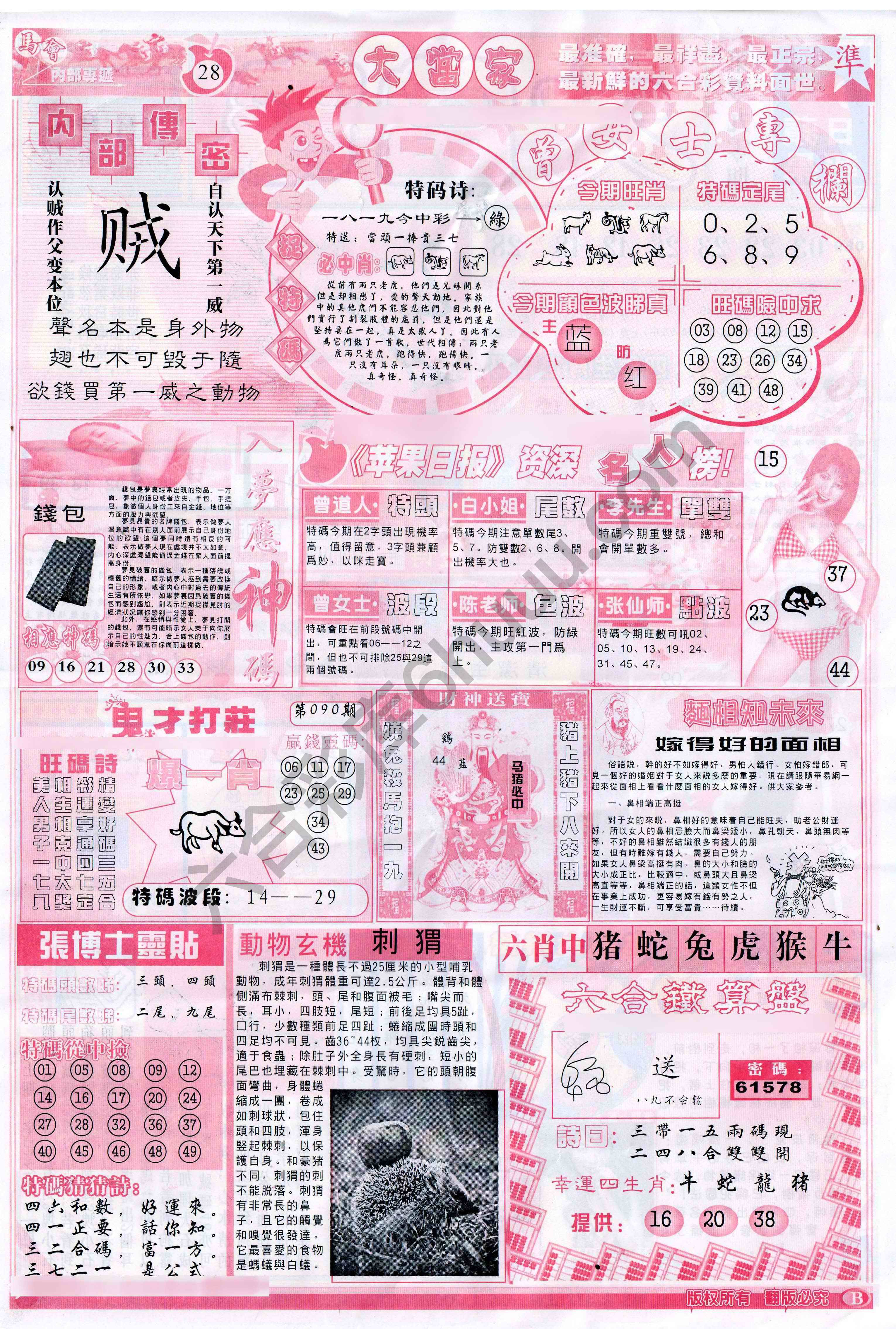 大当家