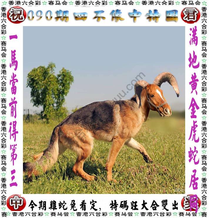 四不像中特图