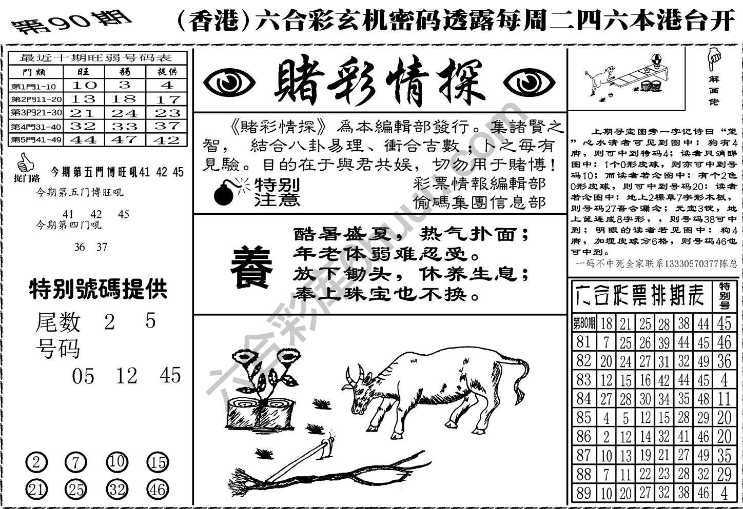 赌彩情探