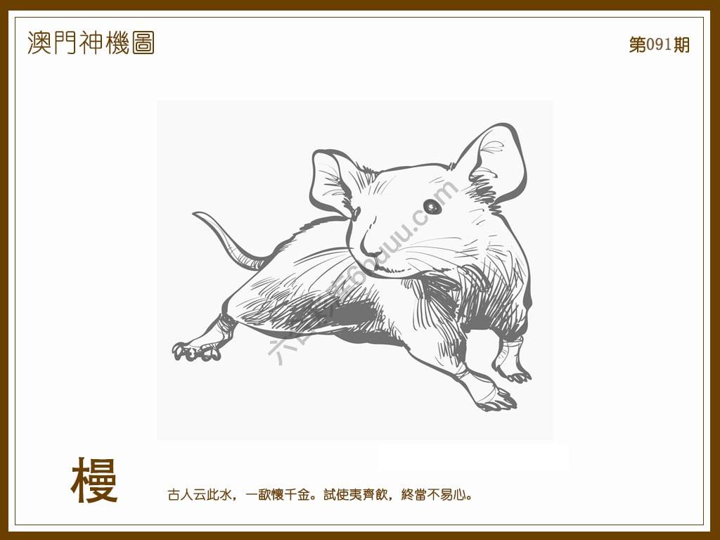 澳门神机图