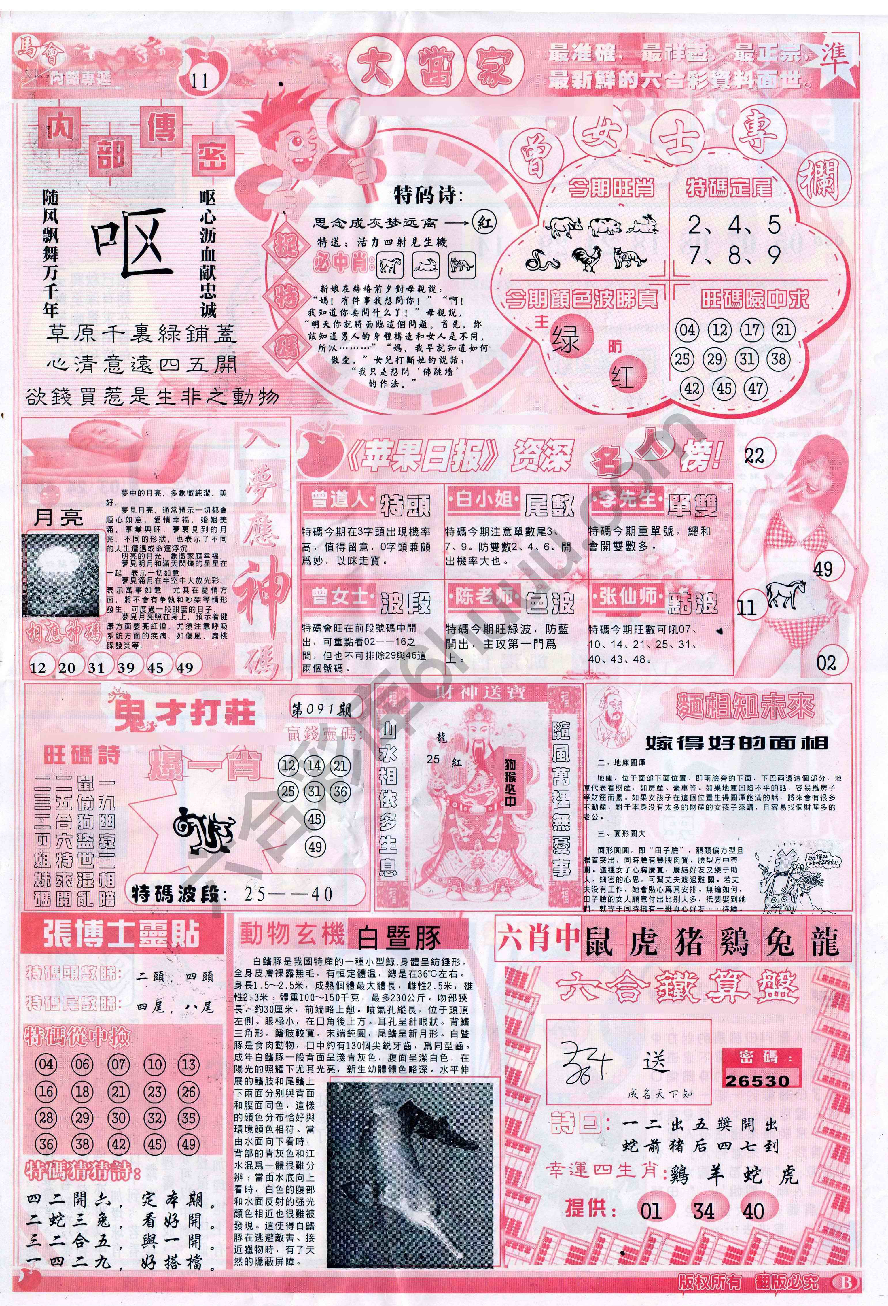 大当家