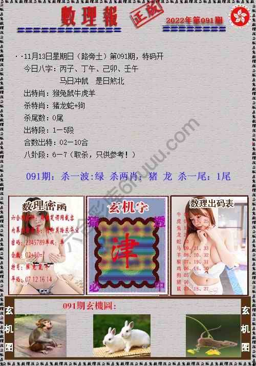 数理报