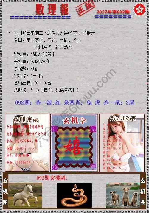 数理报