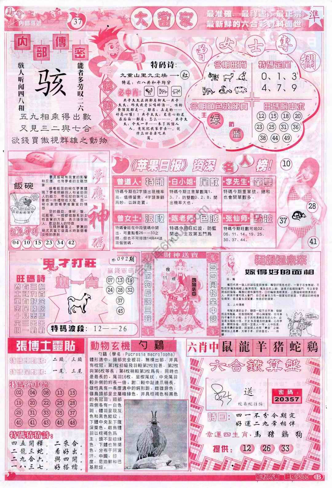 大当家