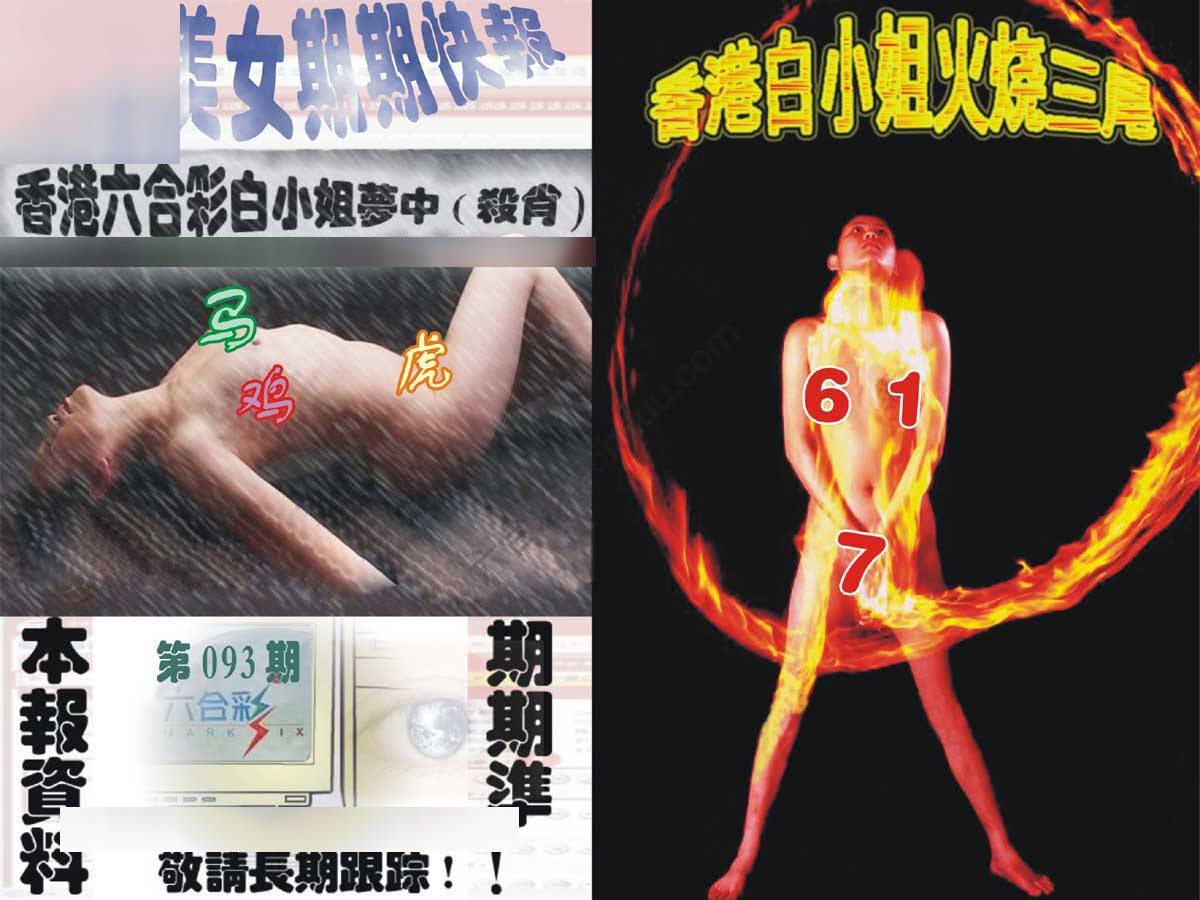 环球美女特码报