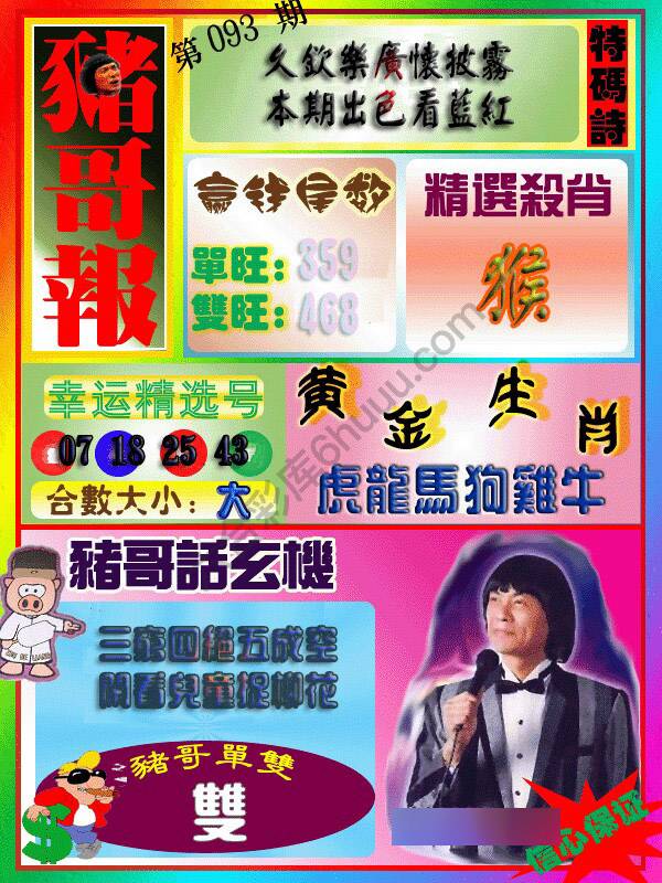 猪哥报