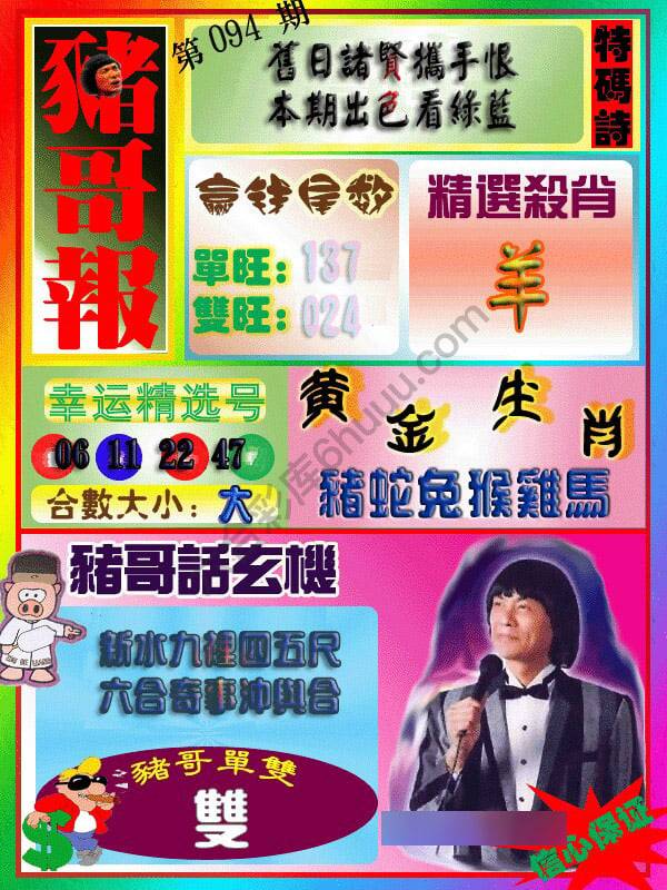猪哥报