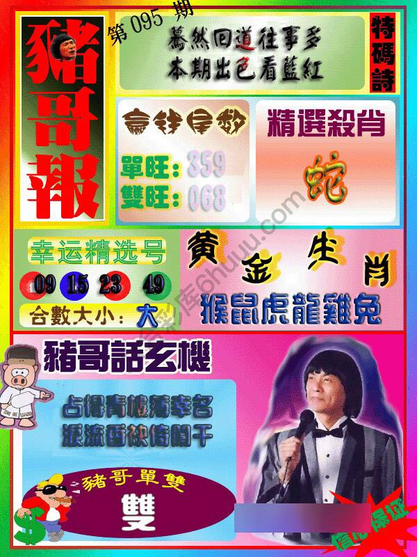 猪哥报