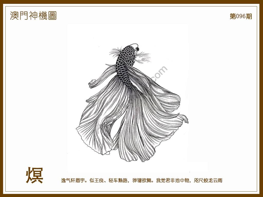 澳门神机图