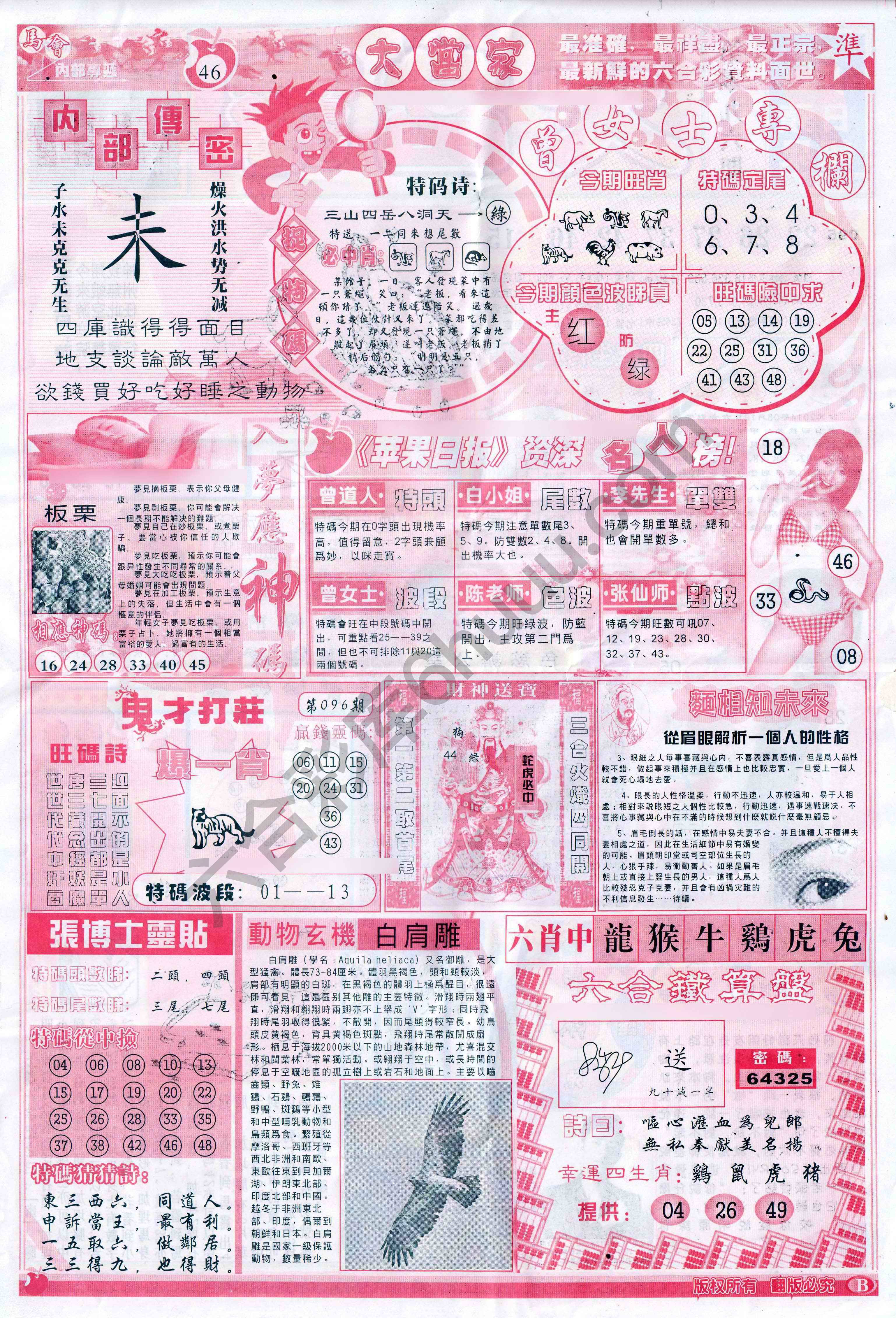 大当家
