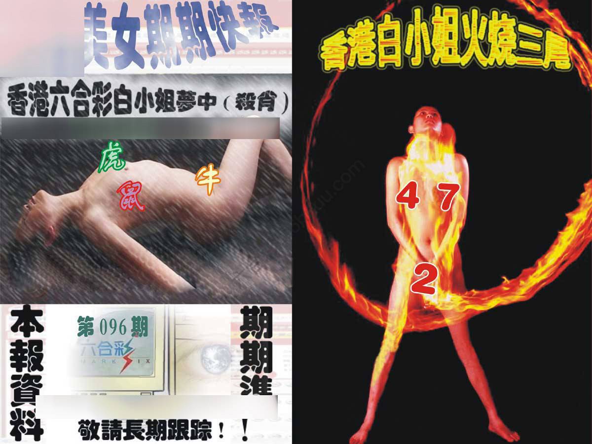 环球美女特码报