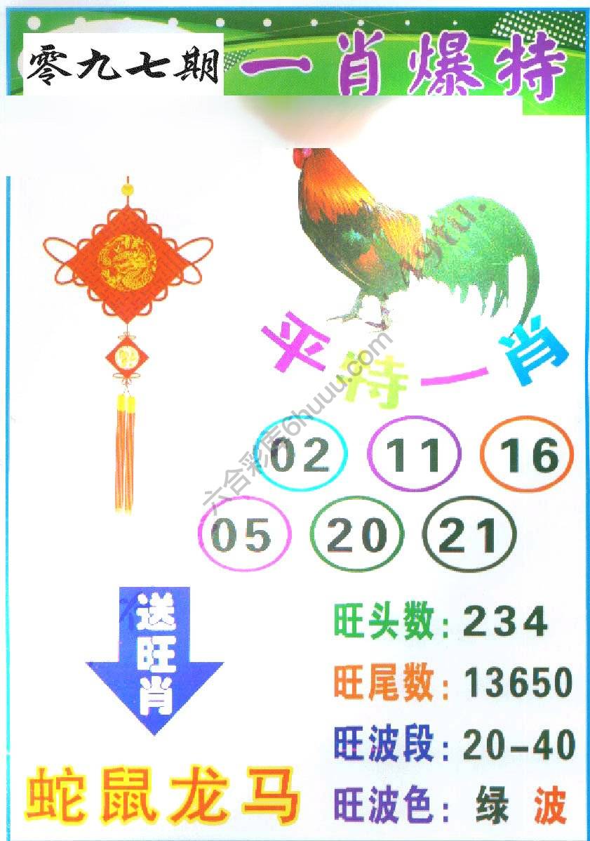 一肖爆特（新版）