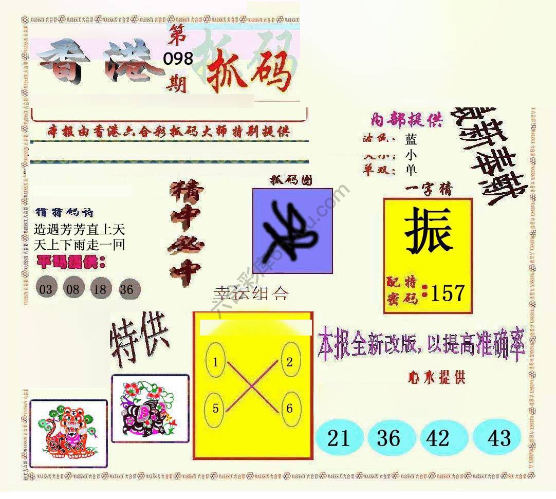 新抓码王