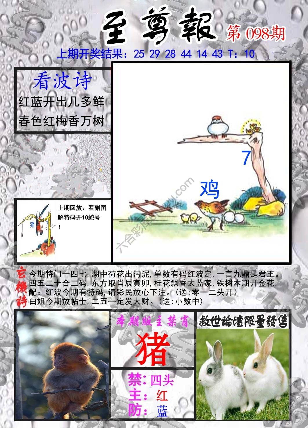 至尊报