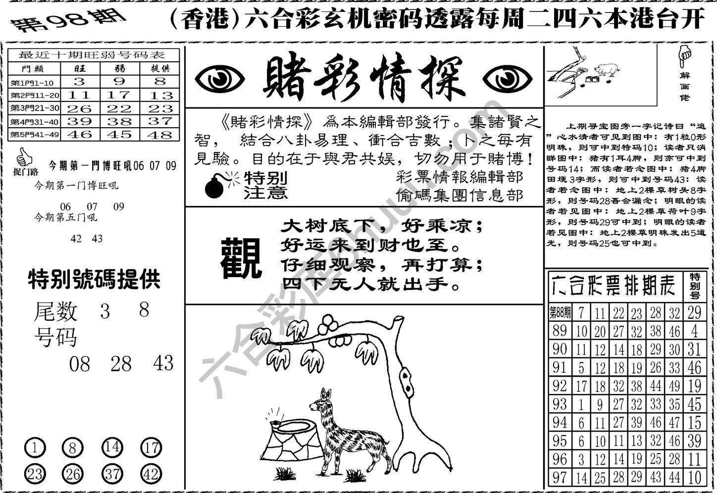 赌彩情探