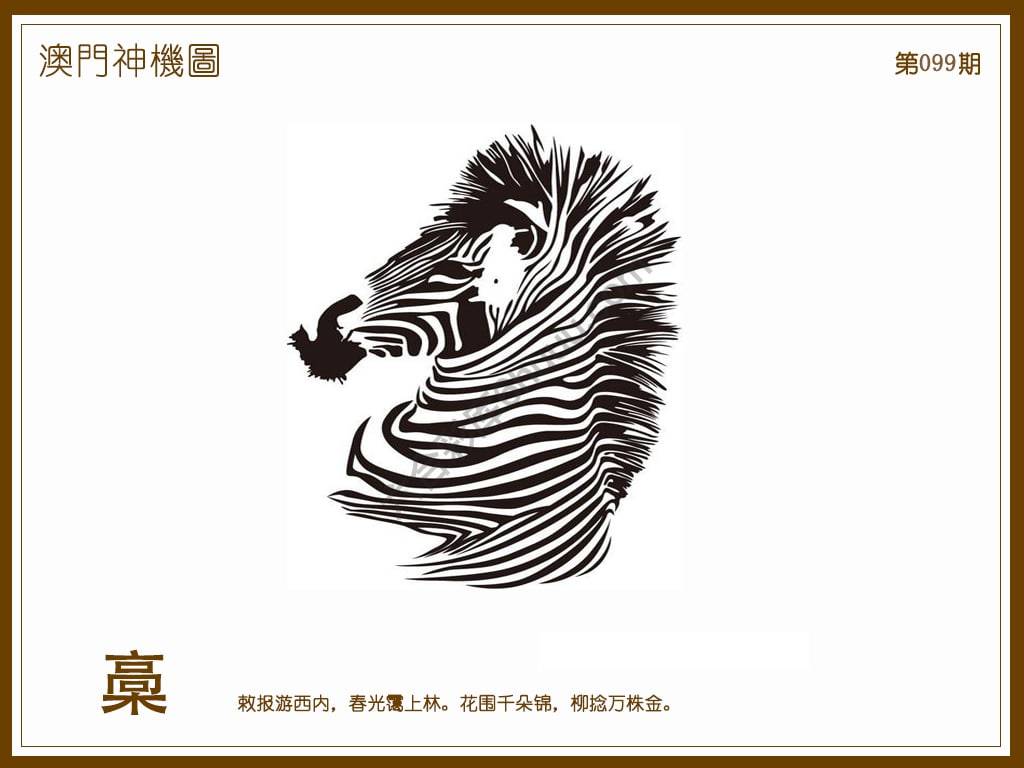 澳门神机图