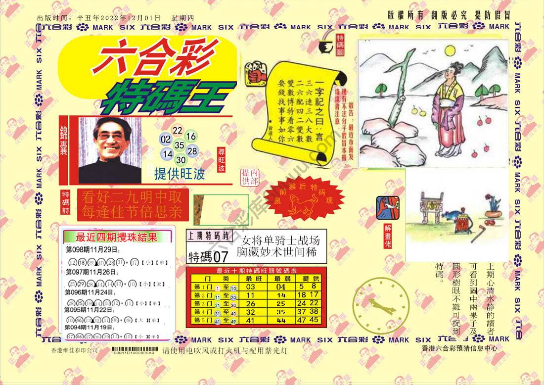 特码王