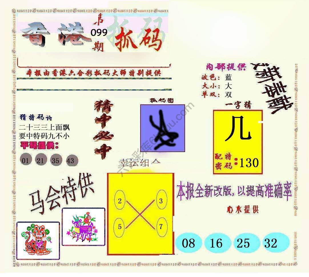 新抓码王