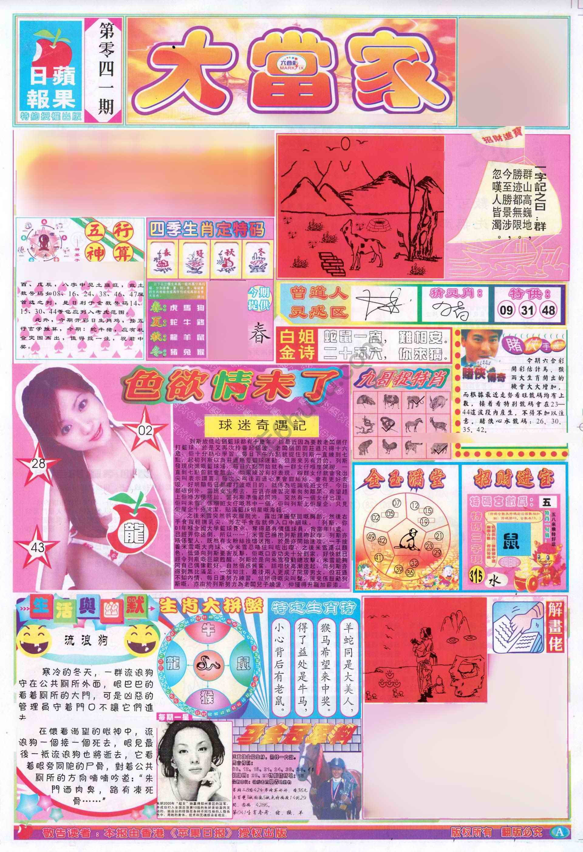 大当家