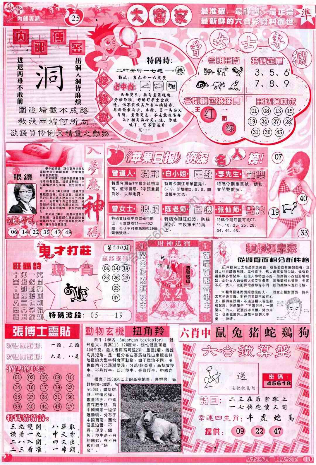 大当家