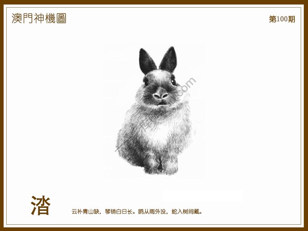 澳门神机图