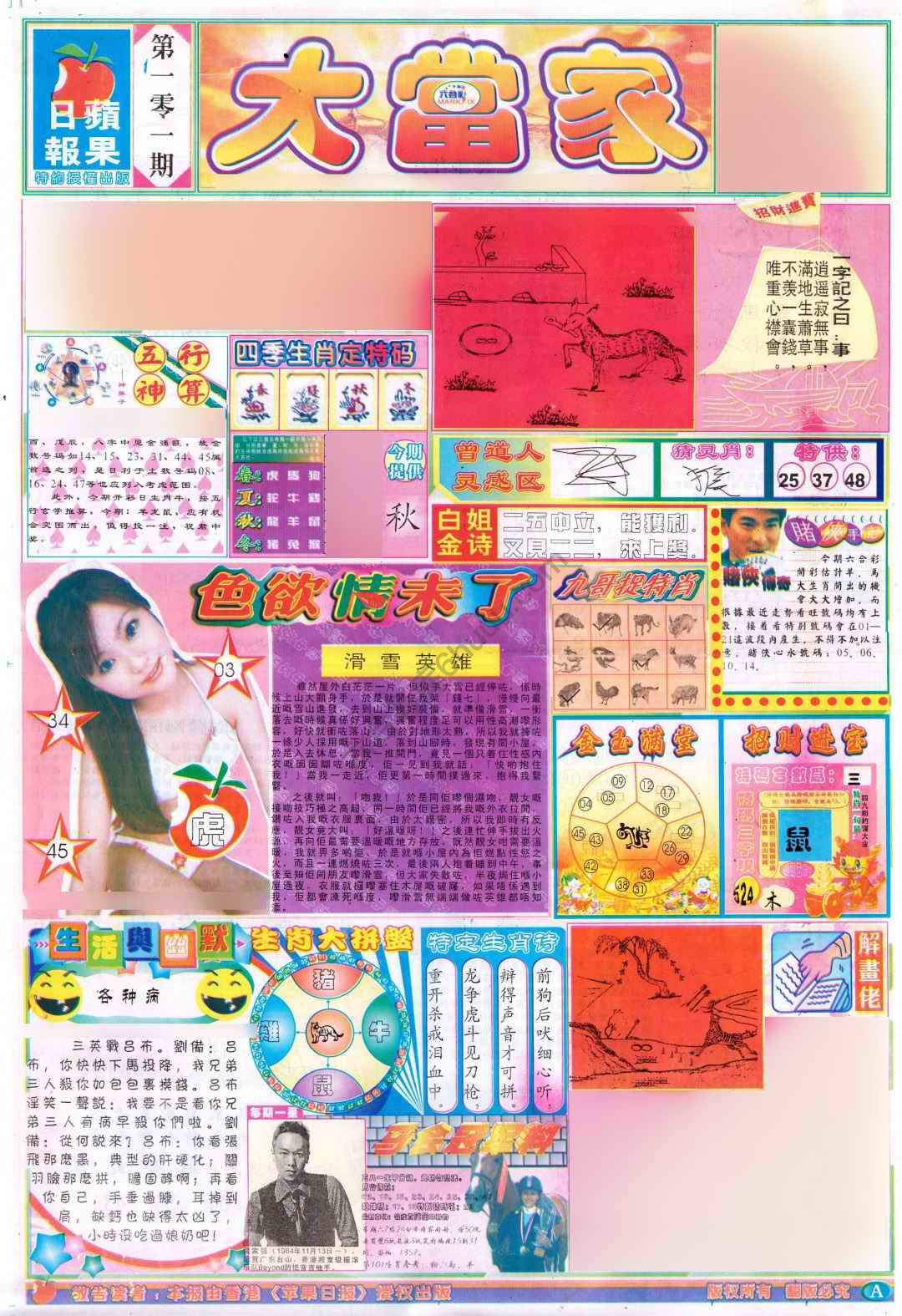 大当家