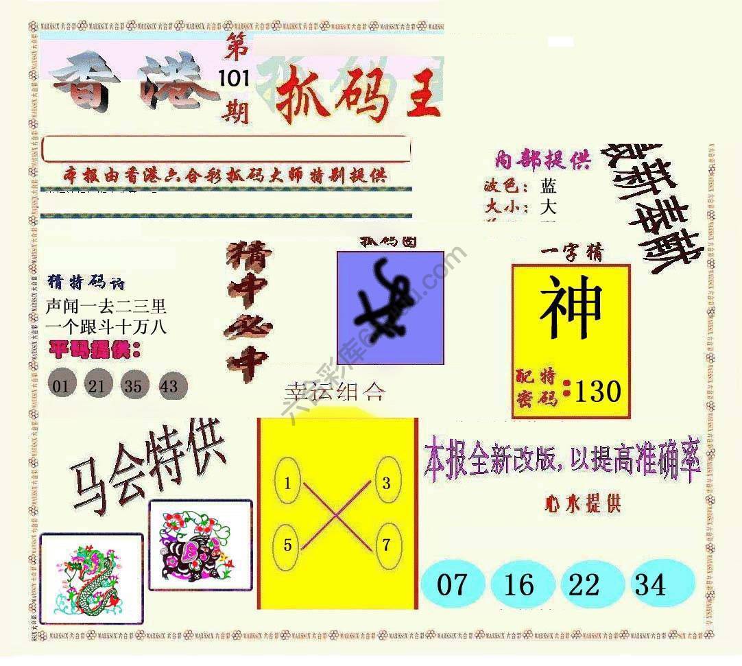 新抓码王