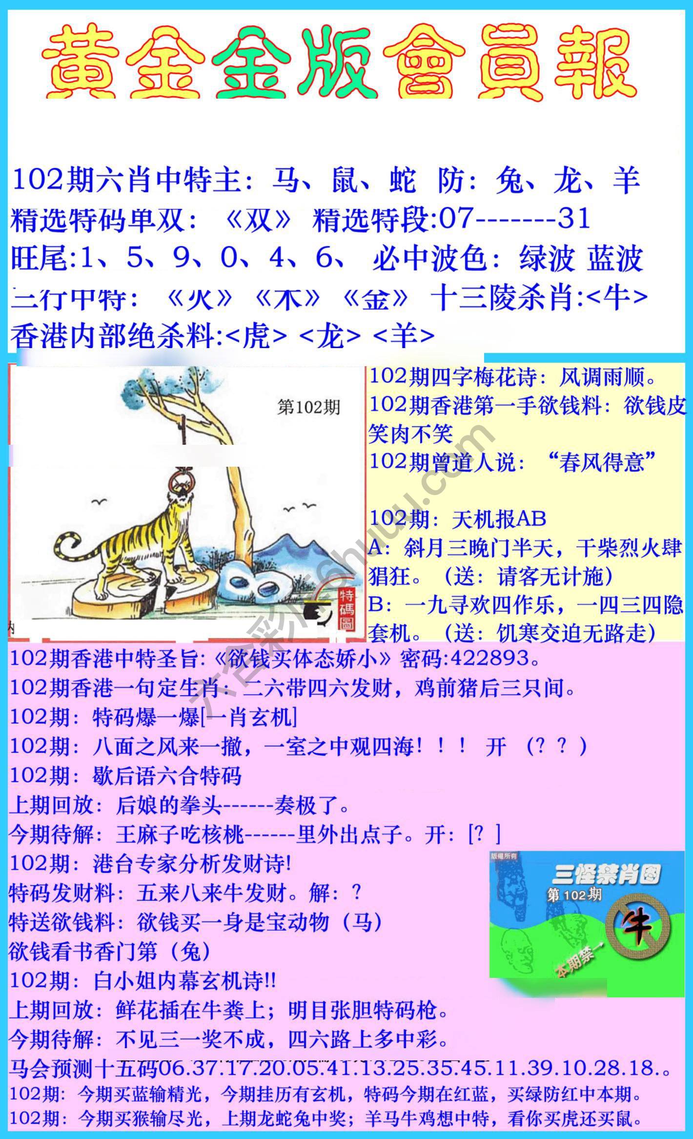 黄金金版会员报