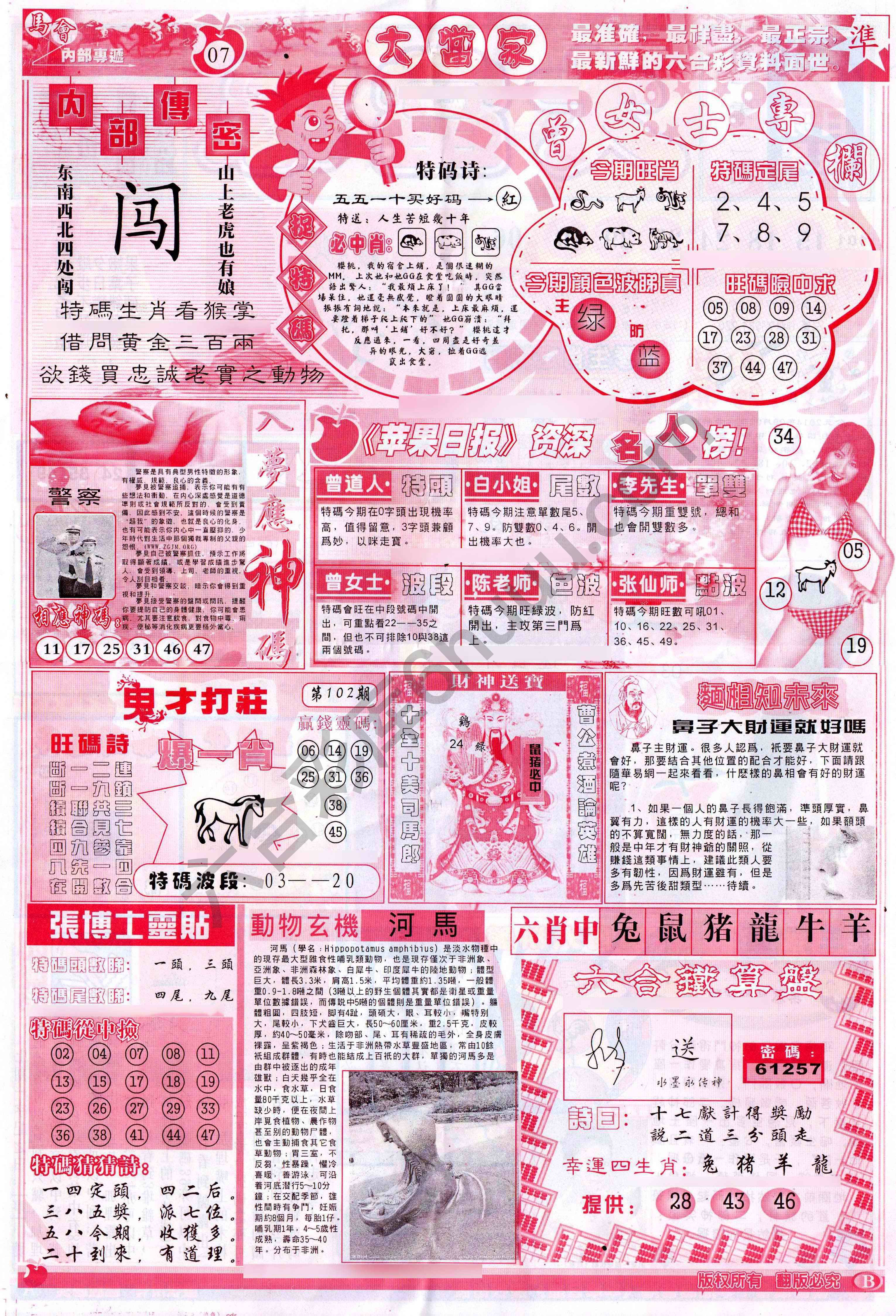 大当家