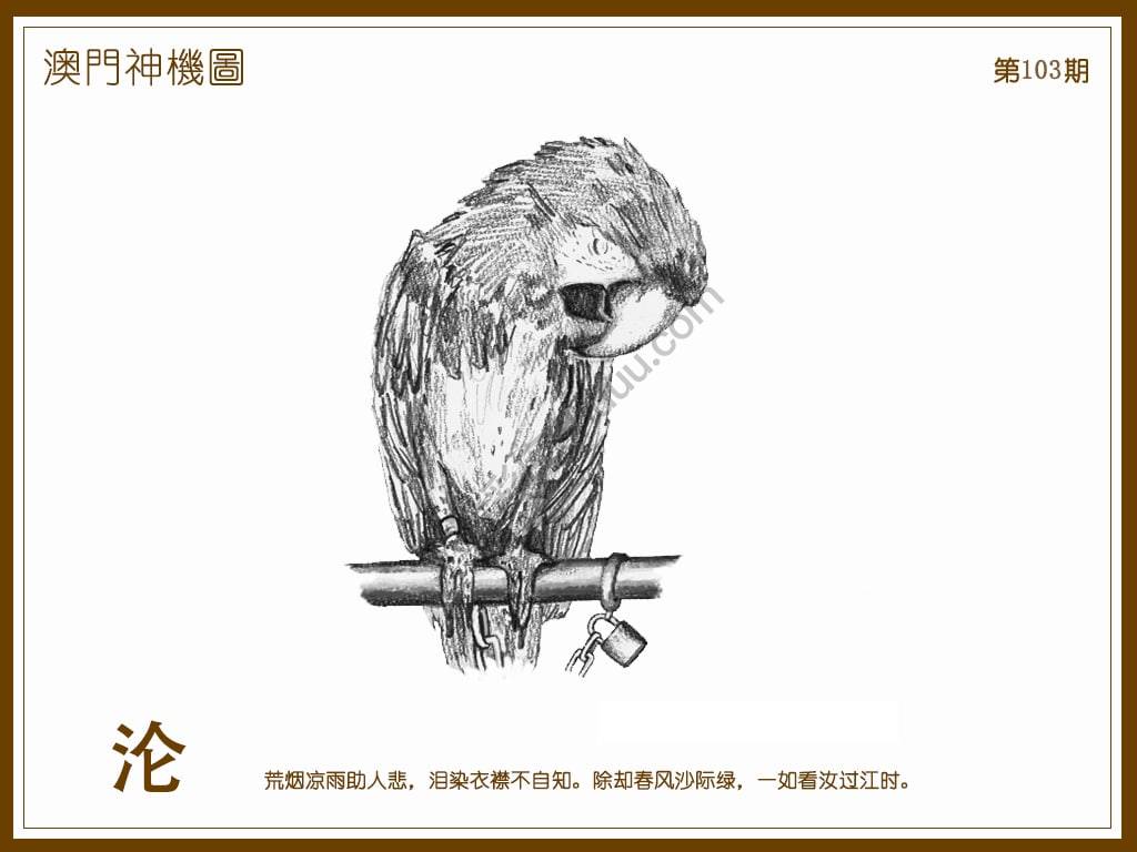澳门神机图