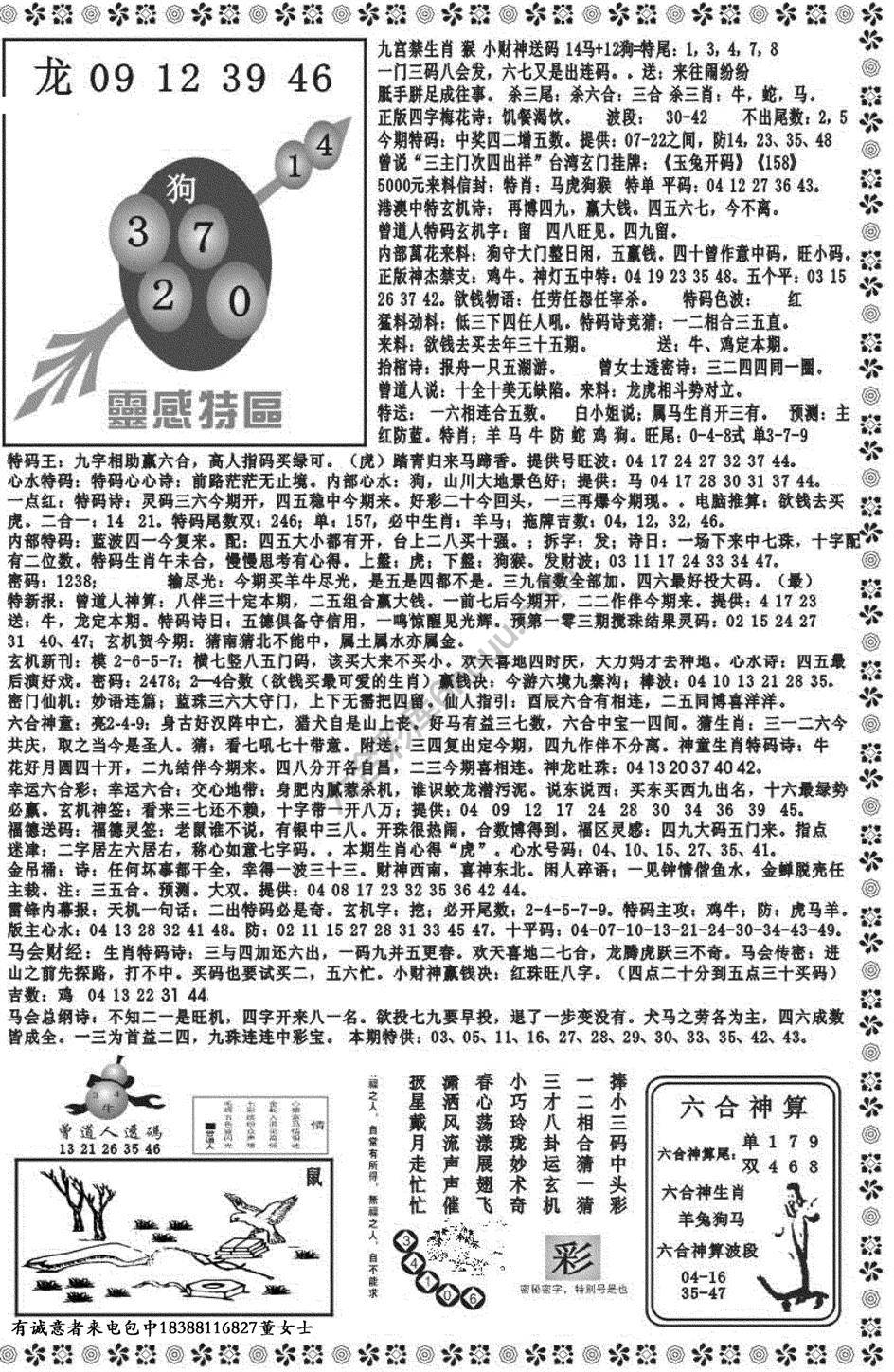 新香港彩霸王