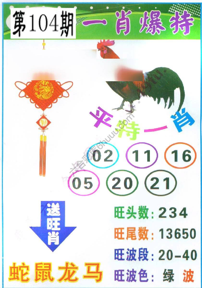 一肖爆特（新版）
